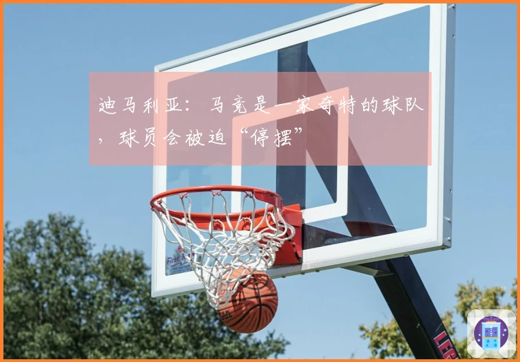 迪马利亚：马竞是一家奇特的球队，球员会被迫“停摆”